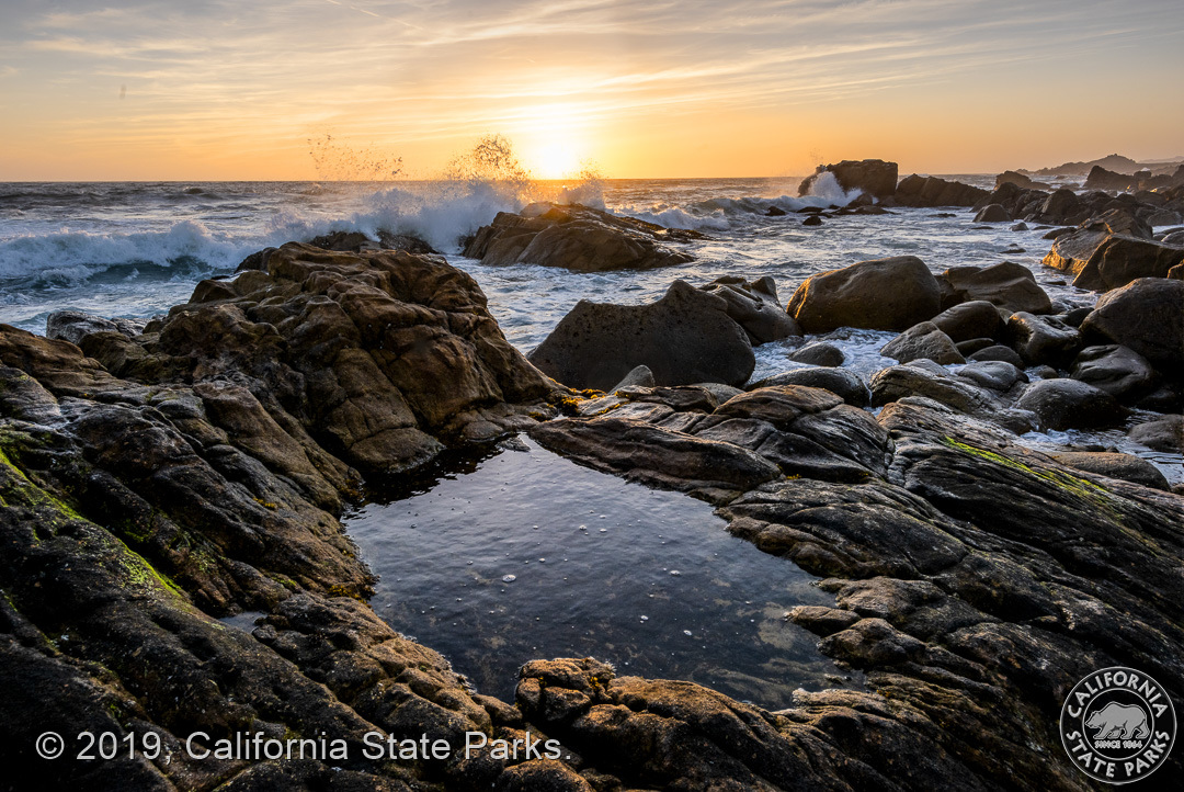 Salt Point State Park