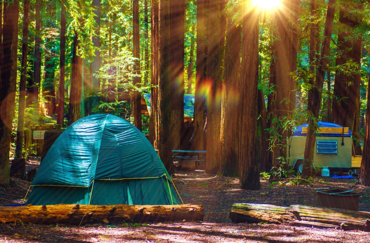 Tent Camping in the Redwood National Park in California,