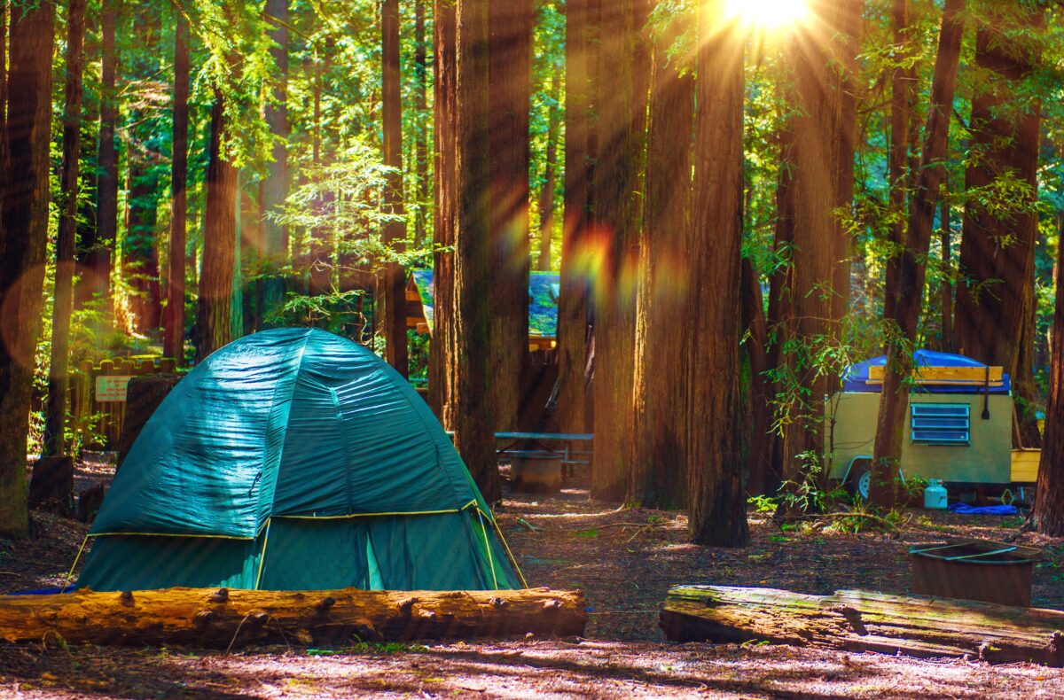 Tent Camping in the Redwood National Park in California, 