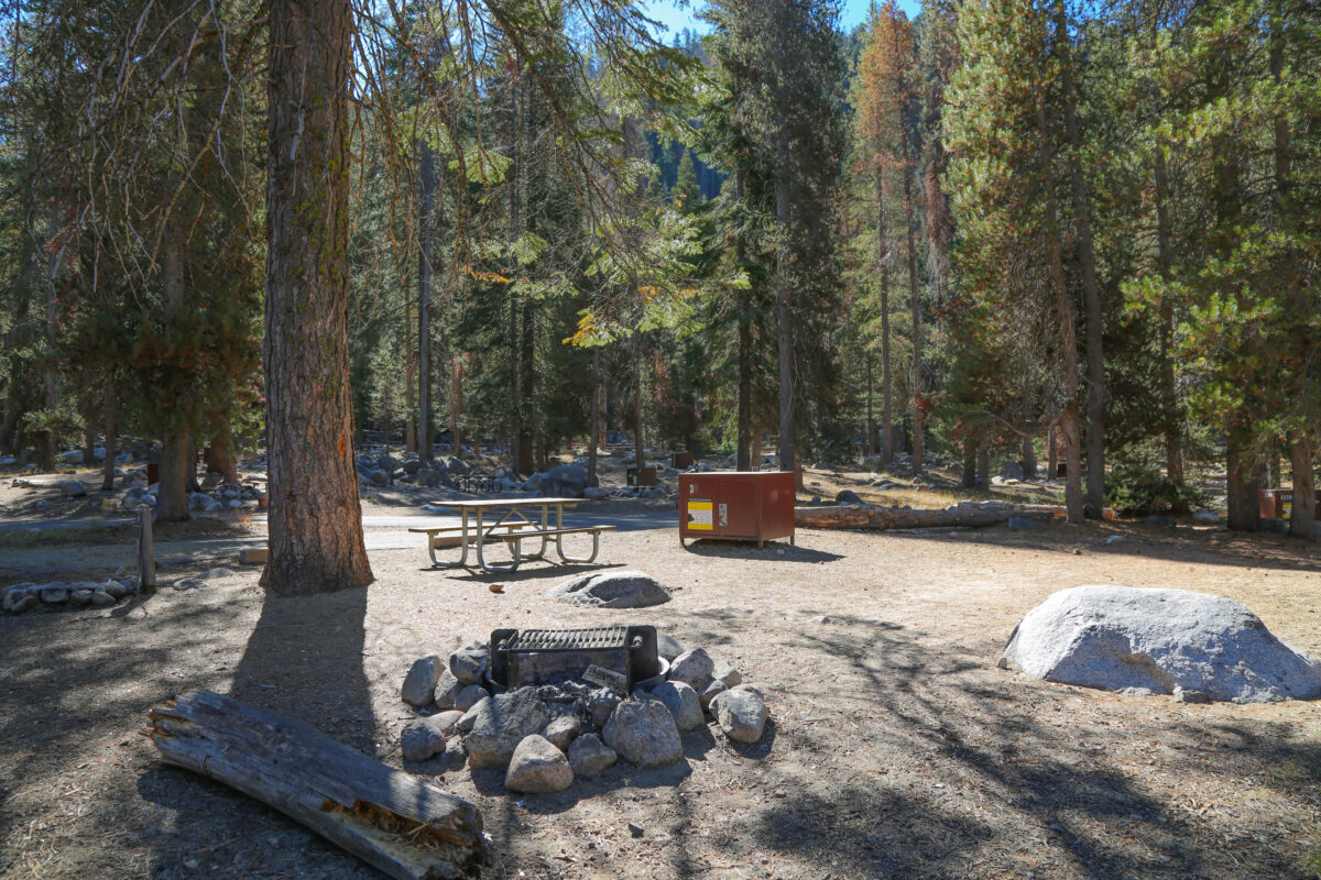 campsite located in Lodgepole Campground, Sequoia National Park and Kings Canyon National Parks